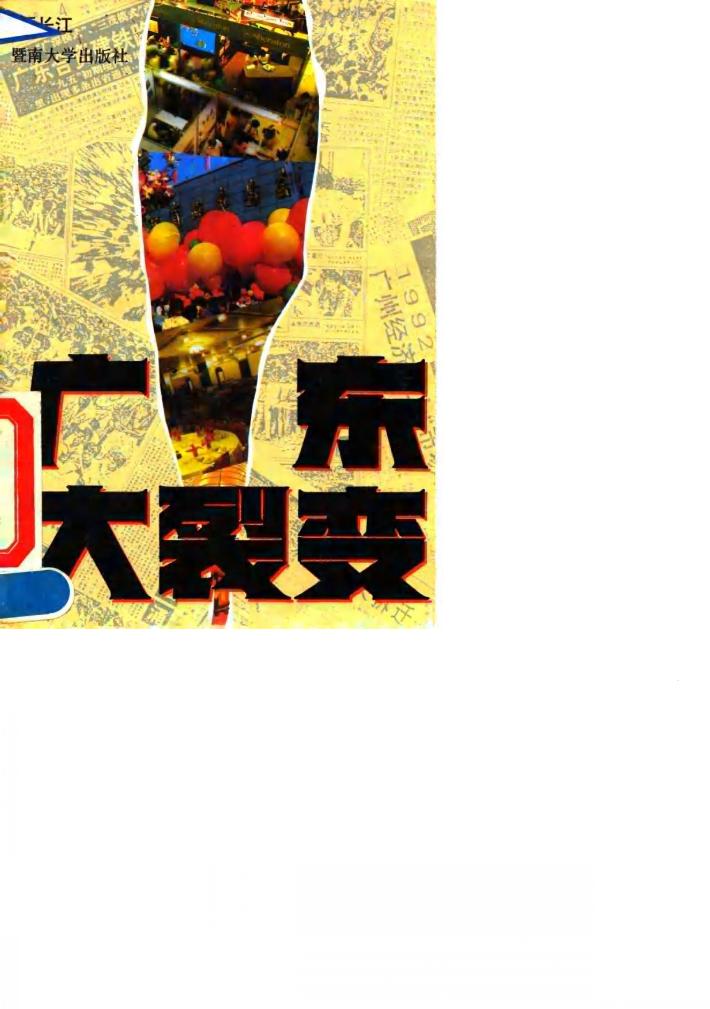 广东大裂变 封面