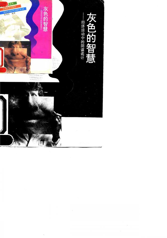 灰色的智慧  经济活动中的阴谋诡计 封面
