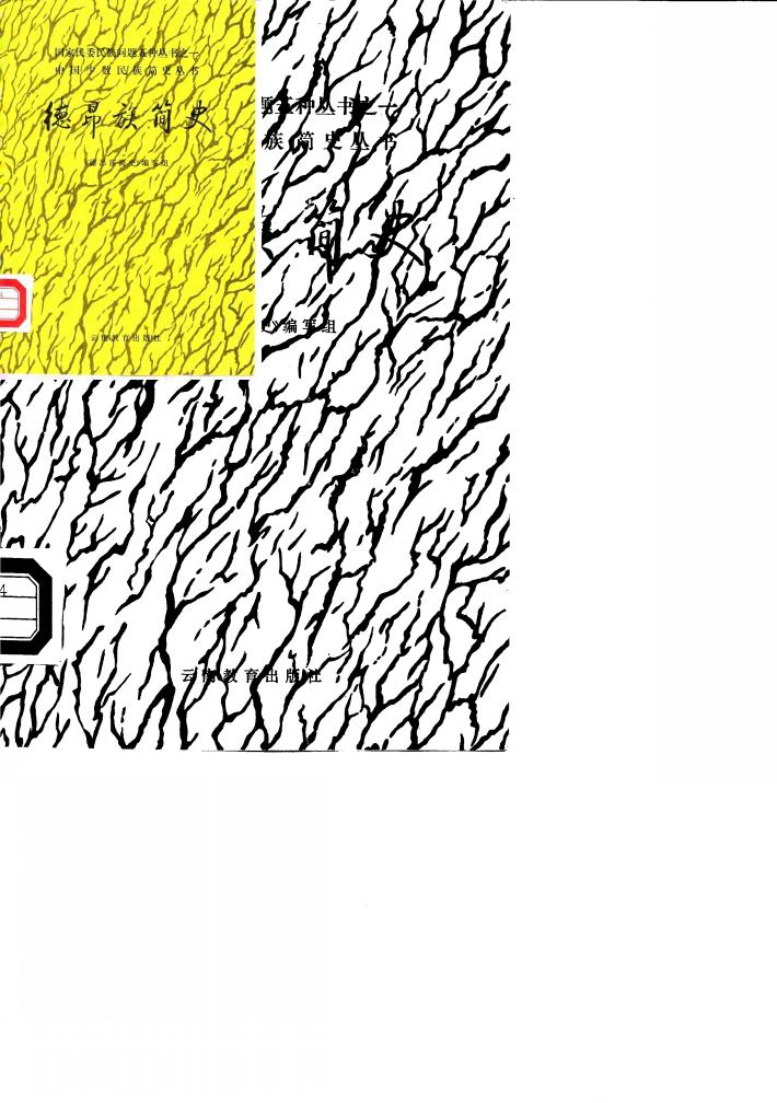 德昂族简史 封面