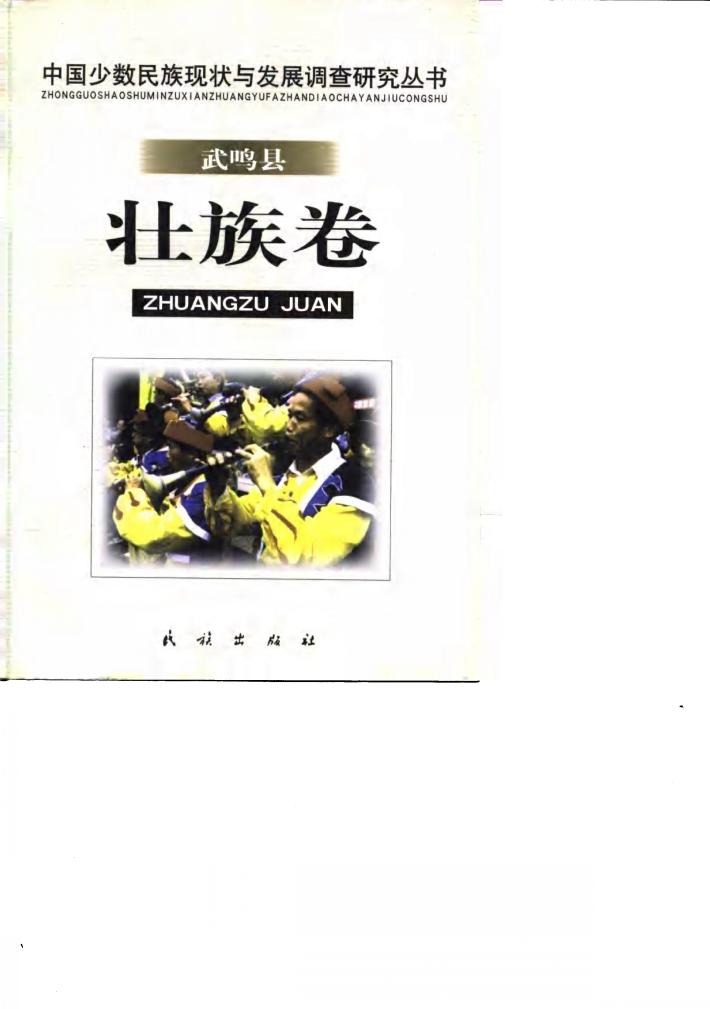 中国少数民族现状与发展调查研究丛书  武鸣县壮族卷 封面