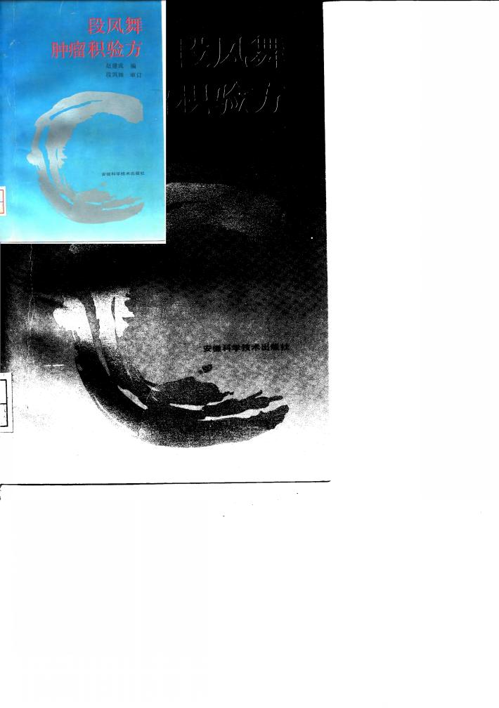 段凤舞肿瘤积验方 封面