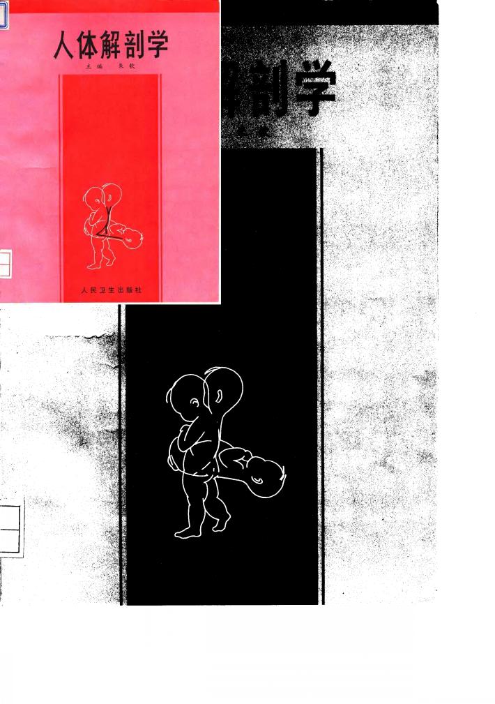 人体解剖学 封面