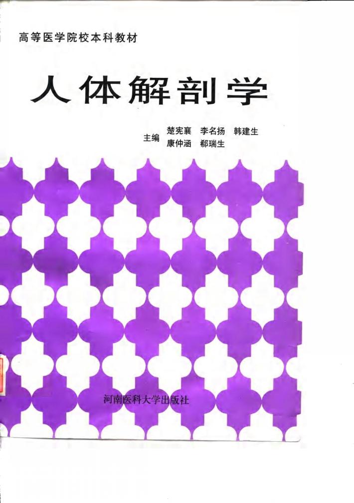 人体解剖学 封面