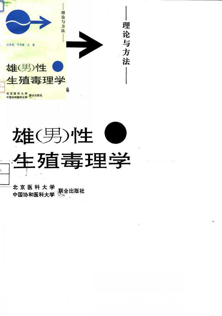 雄  男  性生殖毒理学  理论与方法 封面