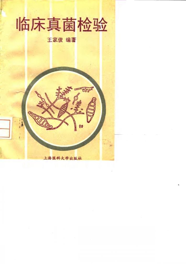 临床真菌检验 封面