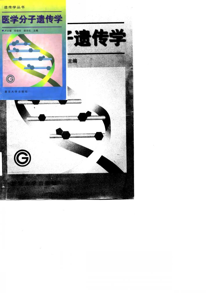 医学分子遗传学 封面