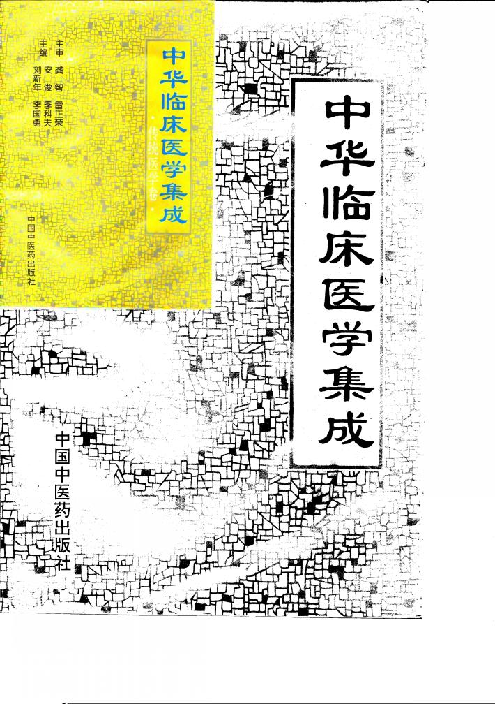 中华临床医学集成  传统医学卷 封面