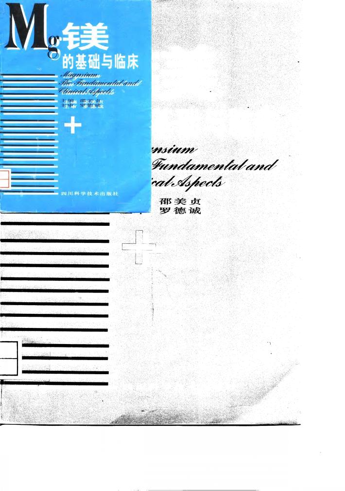 镁的基础与临床 封面