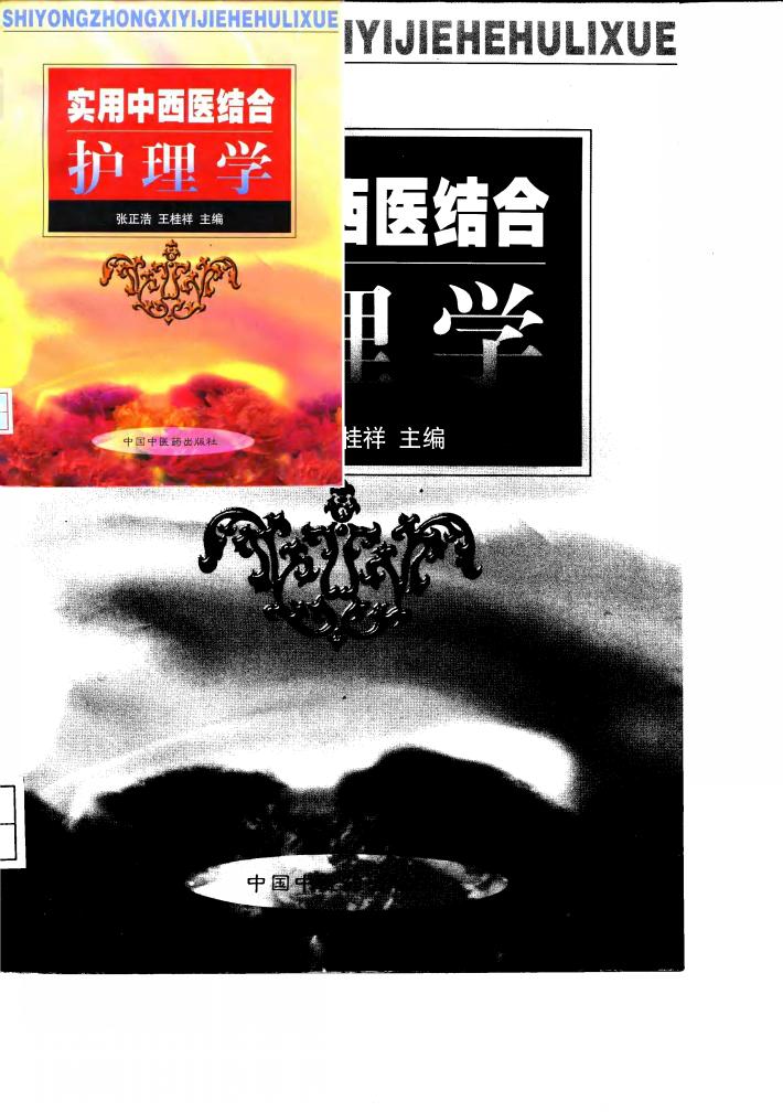 实用中西医结合护理学 封面