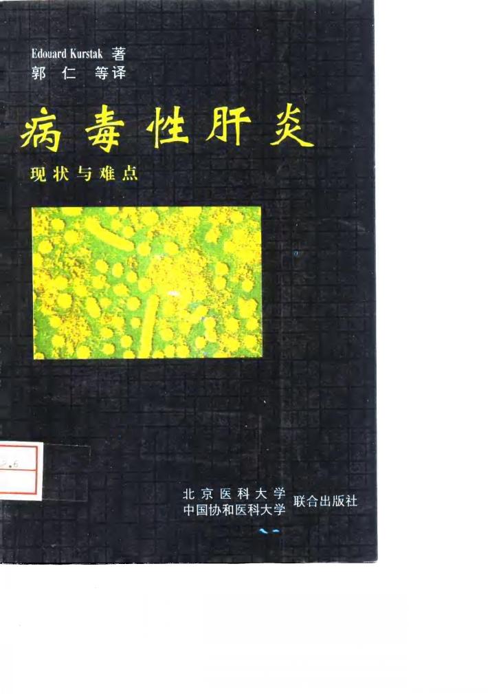 病毒性肝炎  现状与难点 封面