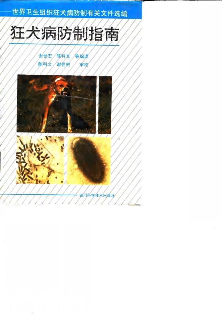 狂犬病防制指南  世界卫生组织狂犬病防制有关文件选编 封面
