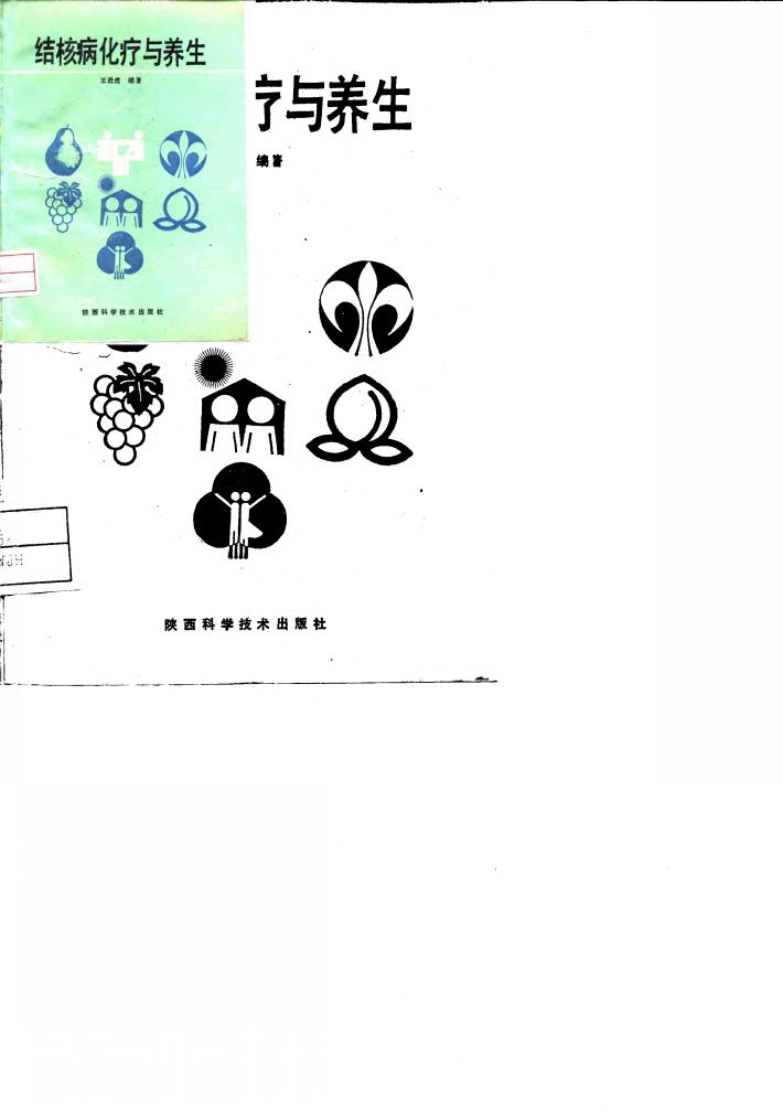 结核病化疗与养生 封面