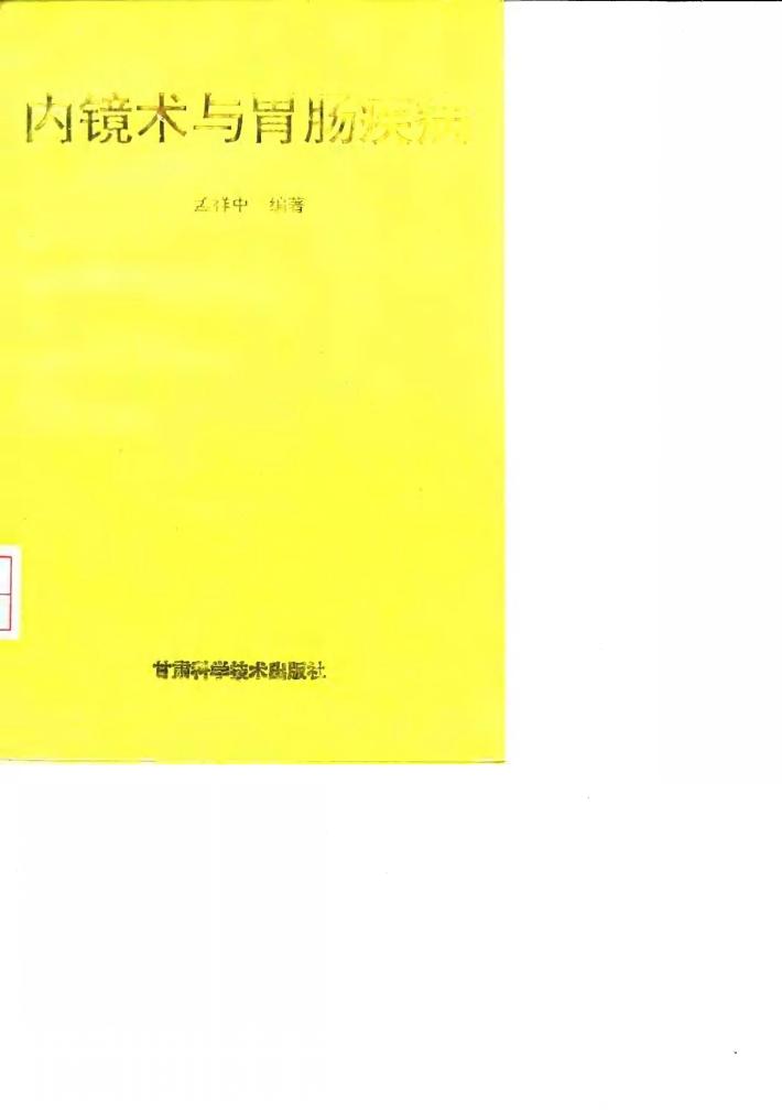 内镜术与胃肠疾病 封面