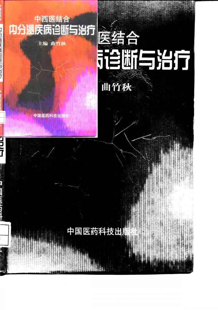 中西医结合内分泌疾病诊断与治疗 封面