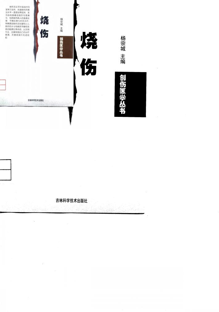 烧伤 封面