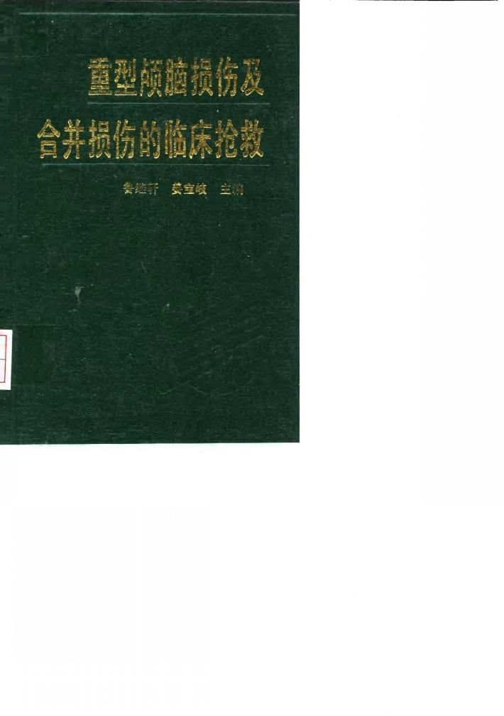 重型颅脑损伤及合并损伤的临床抢救 封面