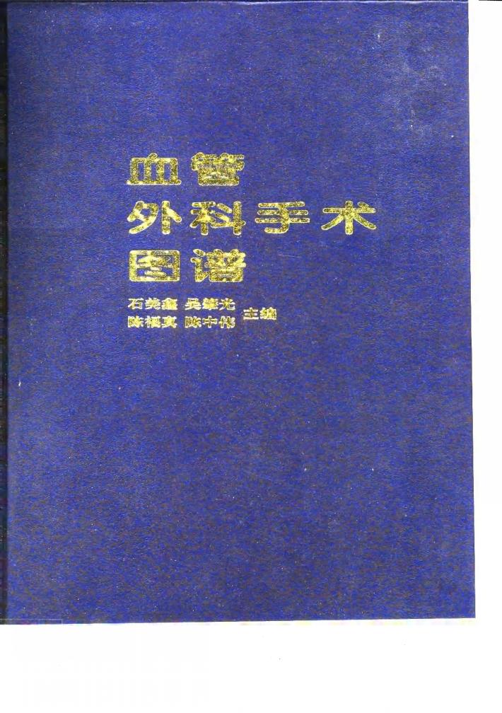 血管外科手术图谱 封面