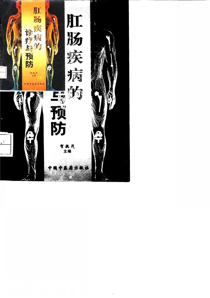 肛肠疾病的诊疗与预防 封面