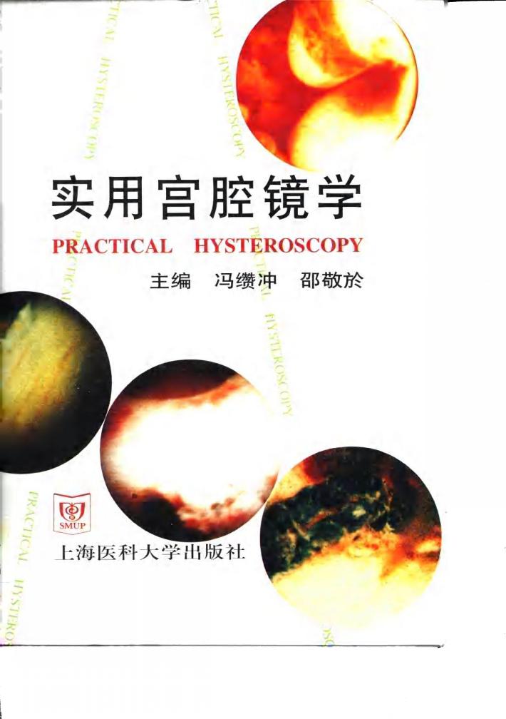 实用宫腔镜学 封面