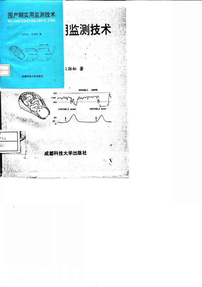 围产期实用监测技术 封面