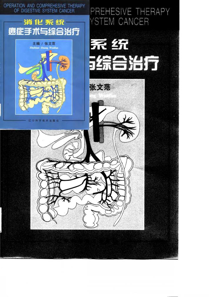 消化系统癌症手术与综合治疗 封面
