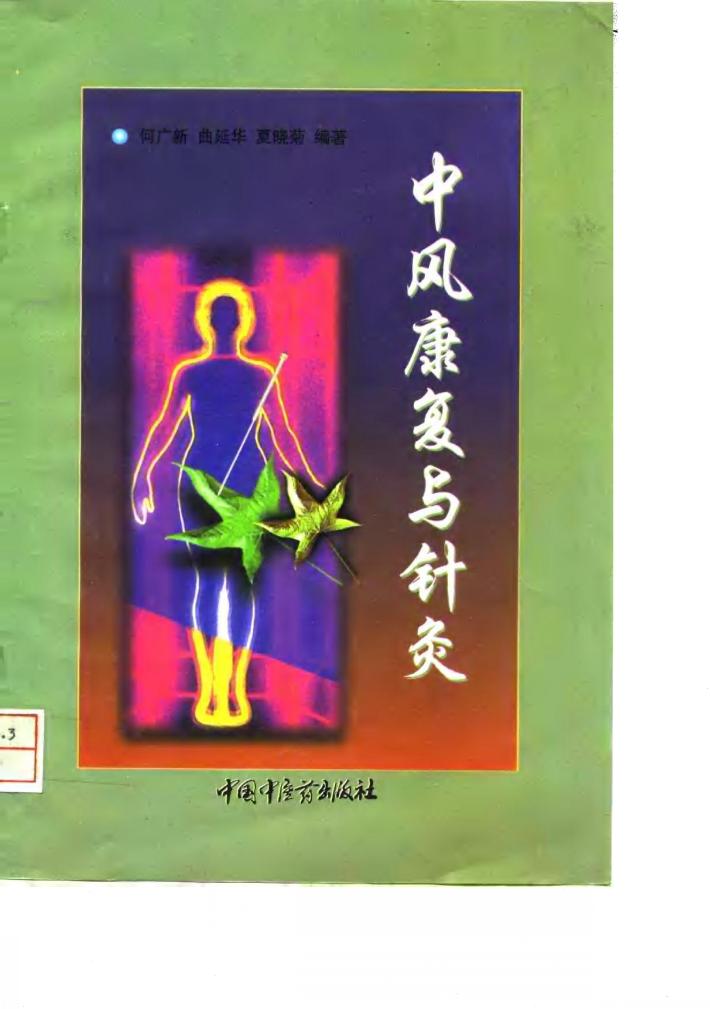 中风康复与针灸 封面