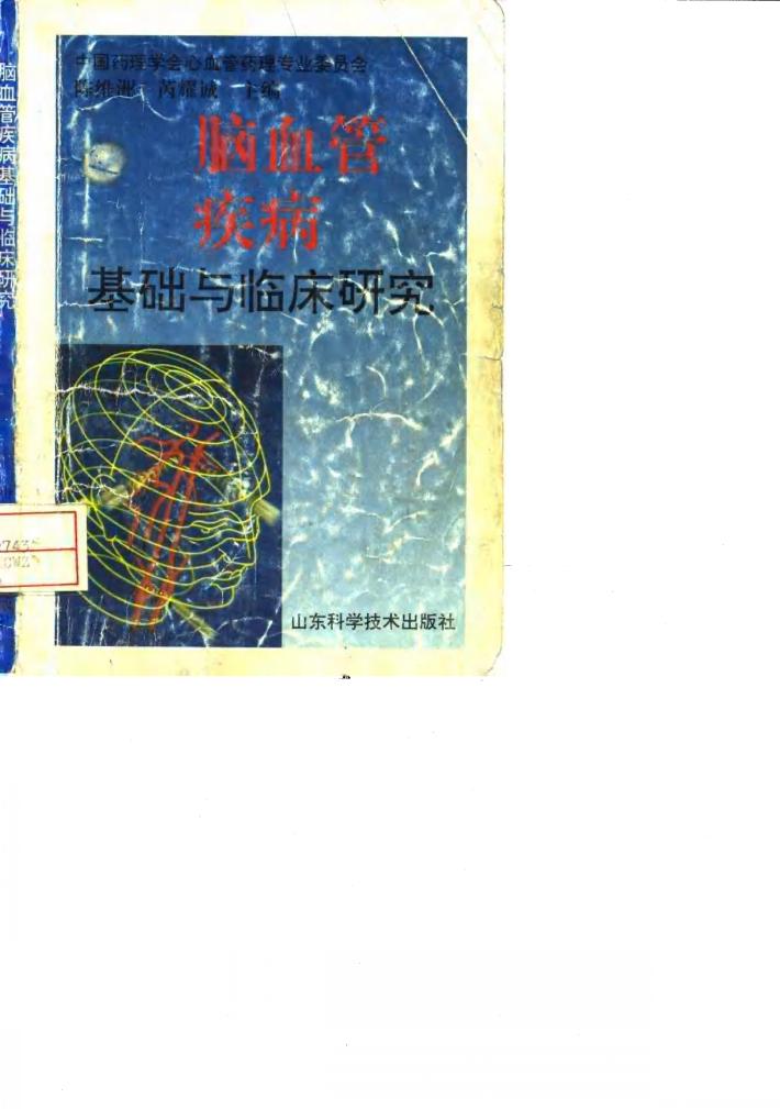 脑血管疾病基础与临床研究 封面