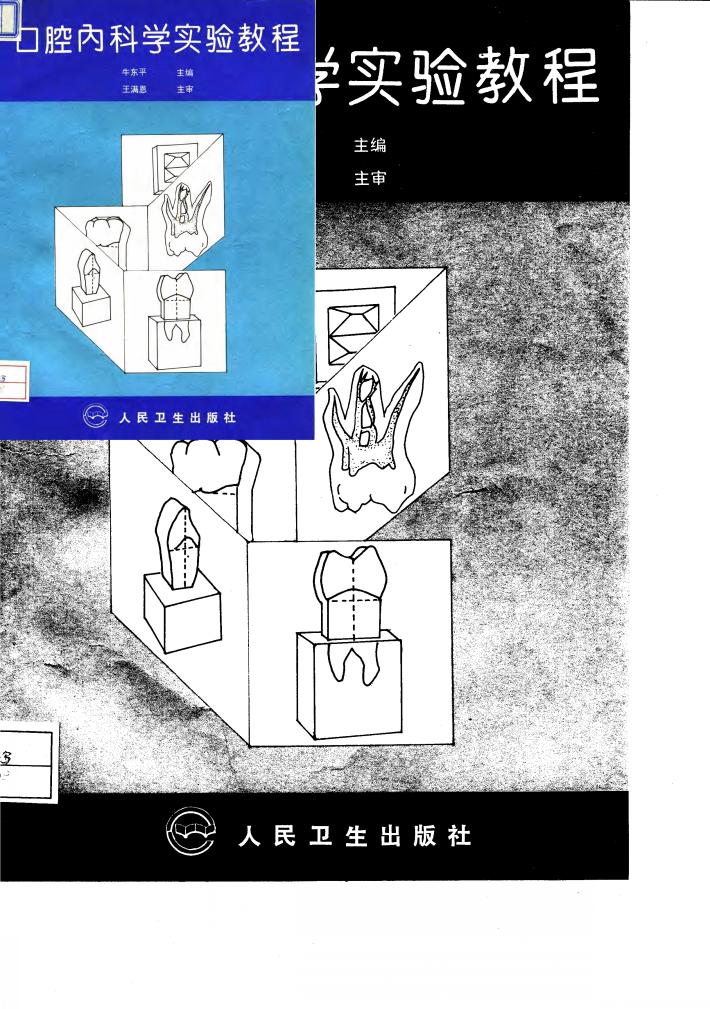 口腔内科学实验教程 封面