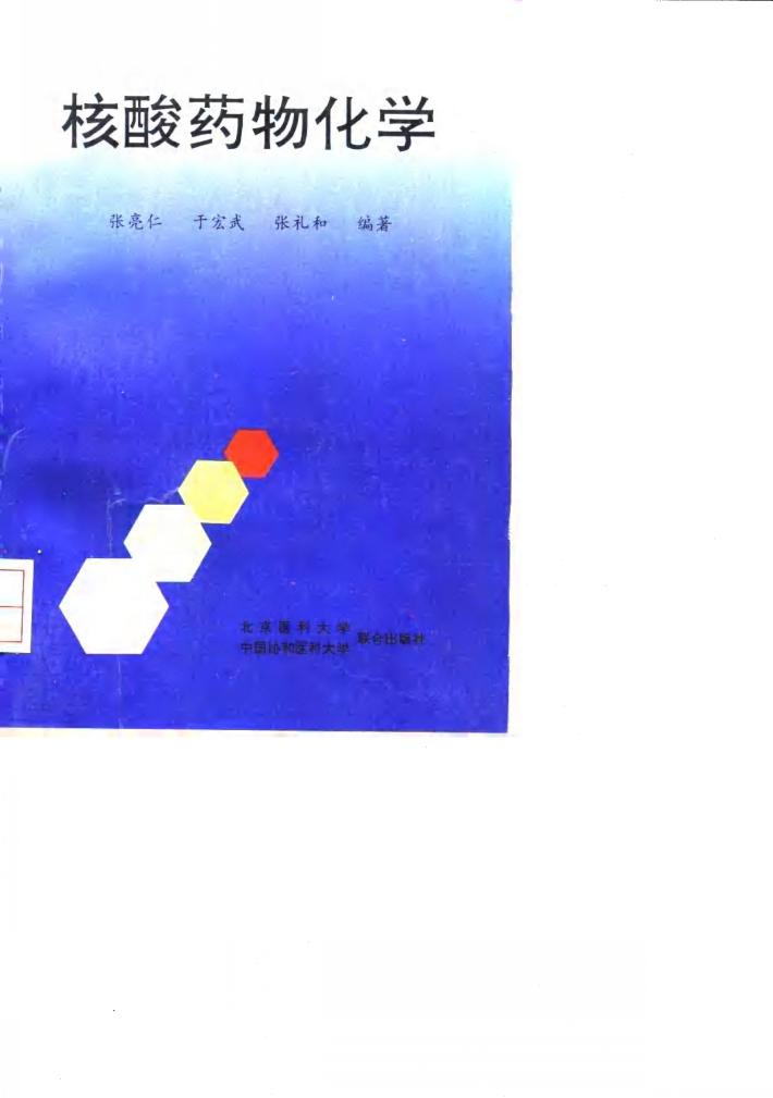 核酸药物化学 封面