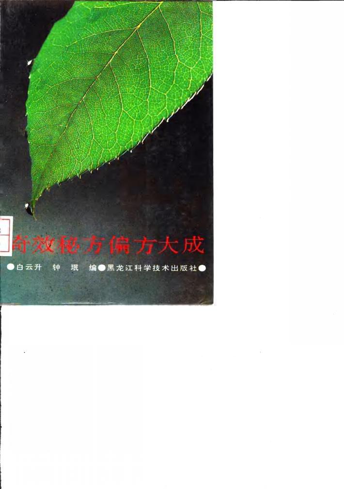 奇效秘方偏方大成 封面