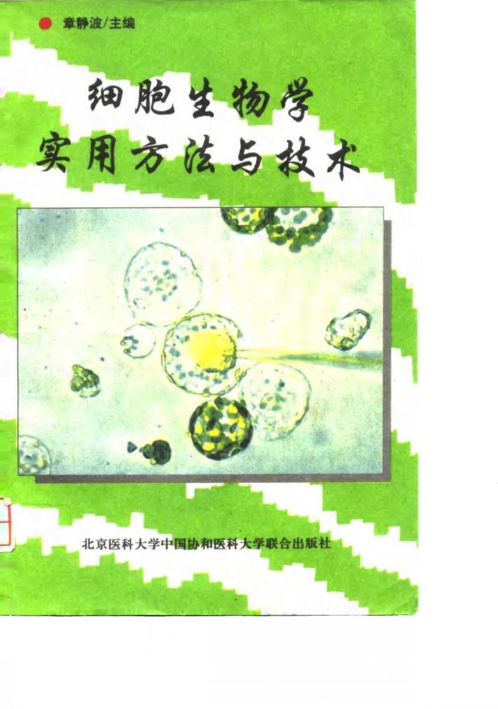 细胞生物学实用方法与技术 封面