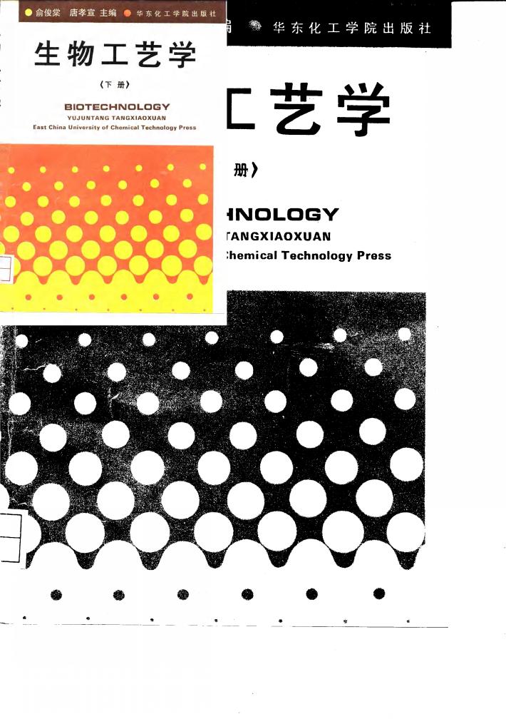 生物工艺学  下 封面