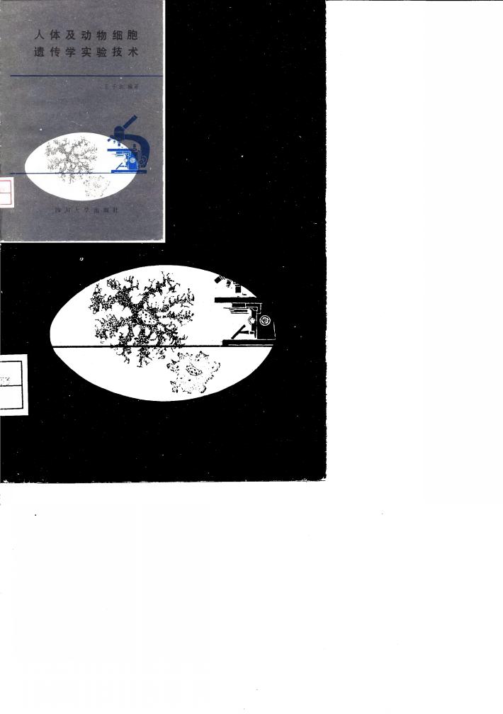 人体及动物细胞遗传学实验技术 封面
