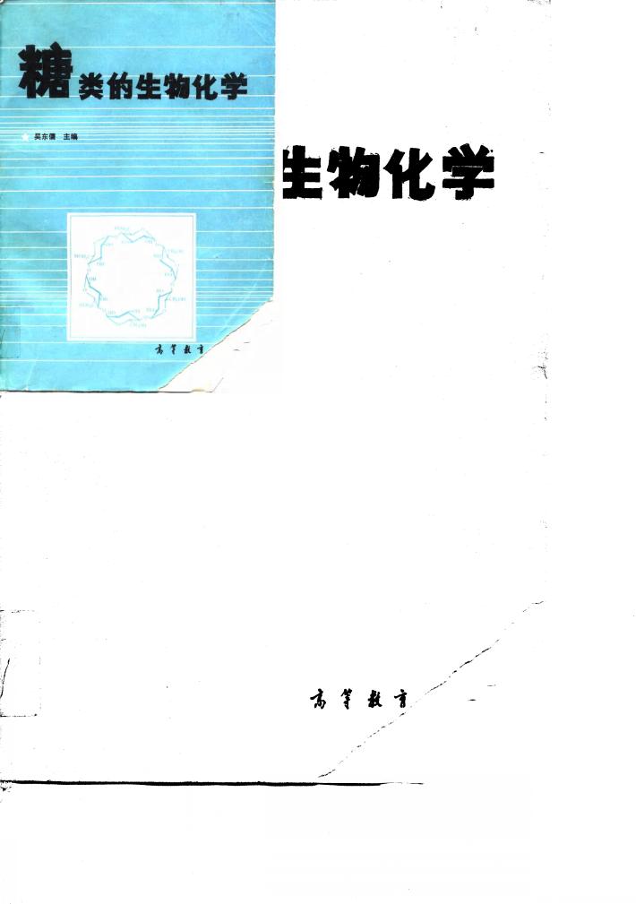 糖类的生物化学 封面