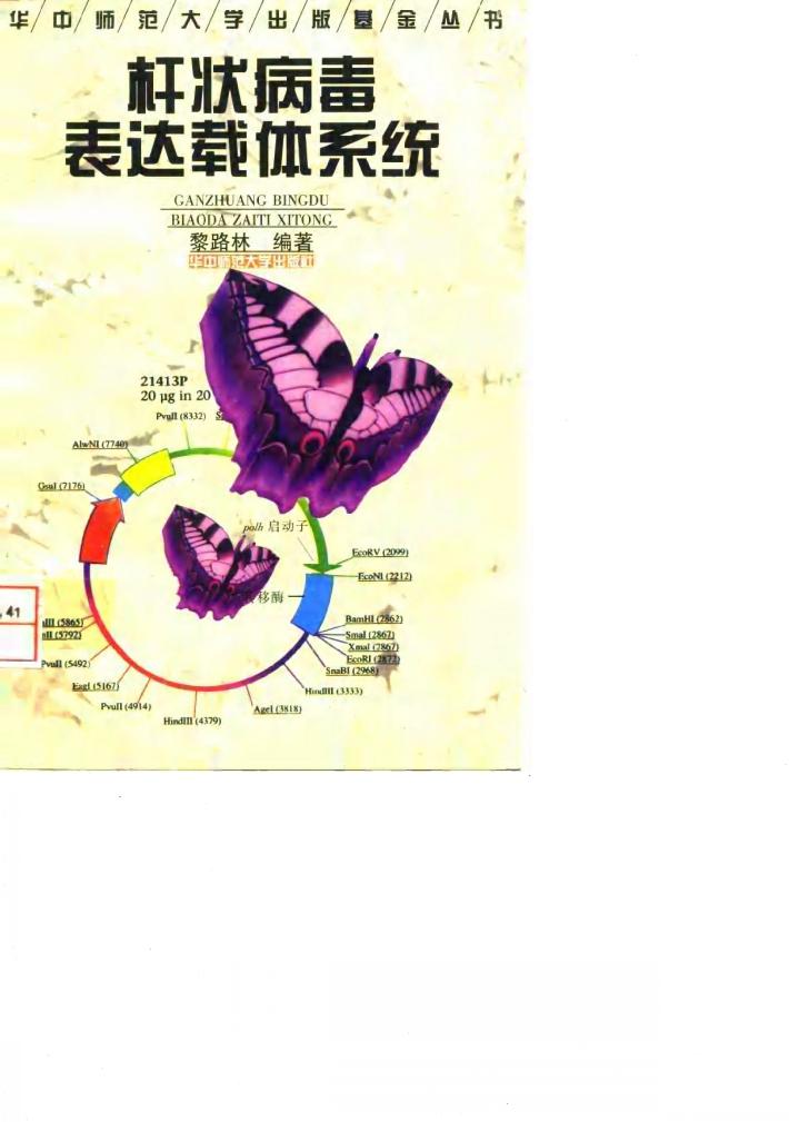 杆状病毒表达载体系统 封面