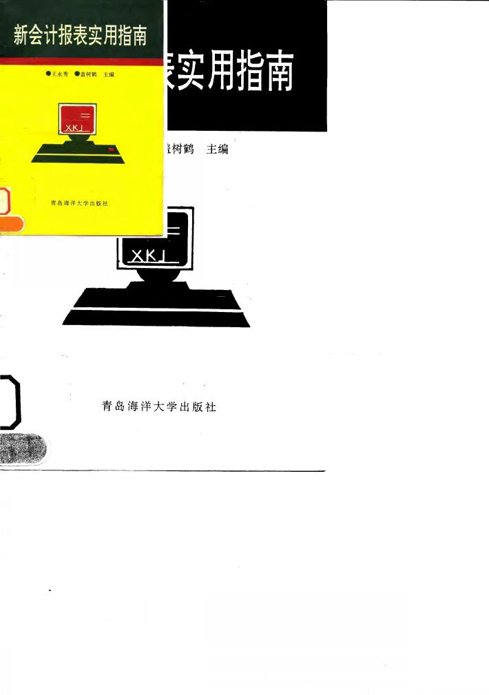 新会计报表实用指南 封面