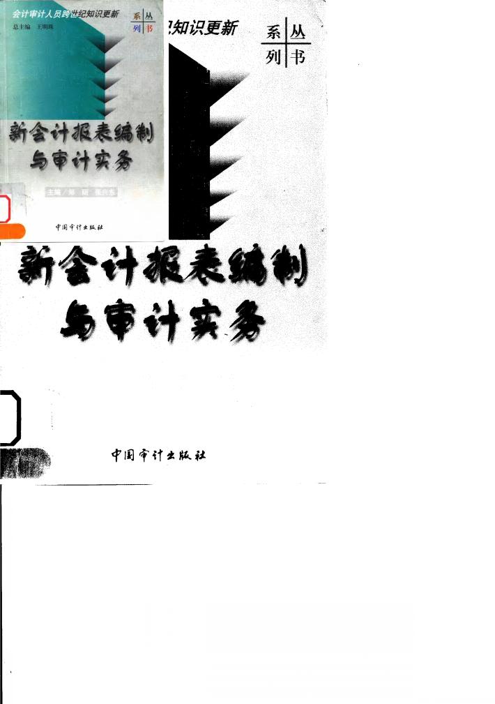 新会计报表编制与审计实务 封面