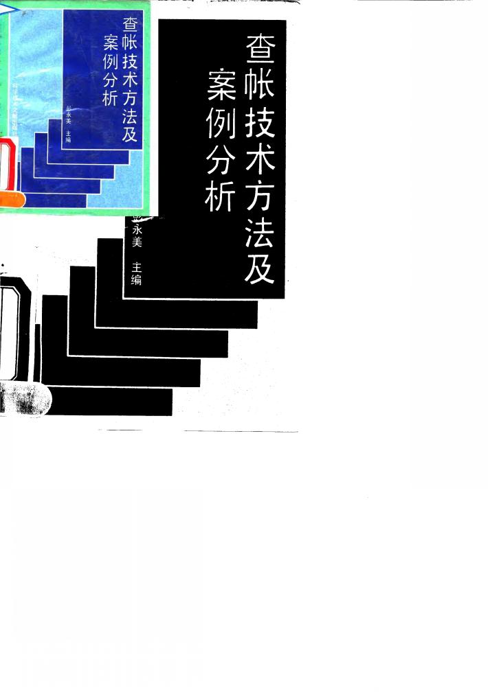 查帐技术方法及案例分析 封面