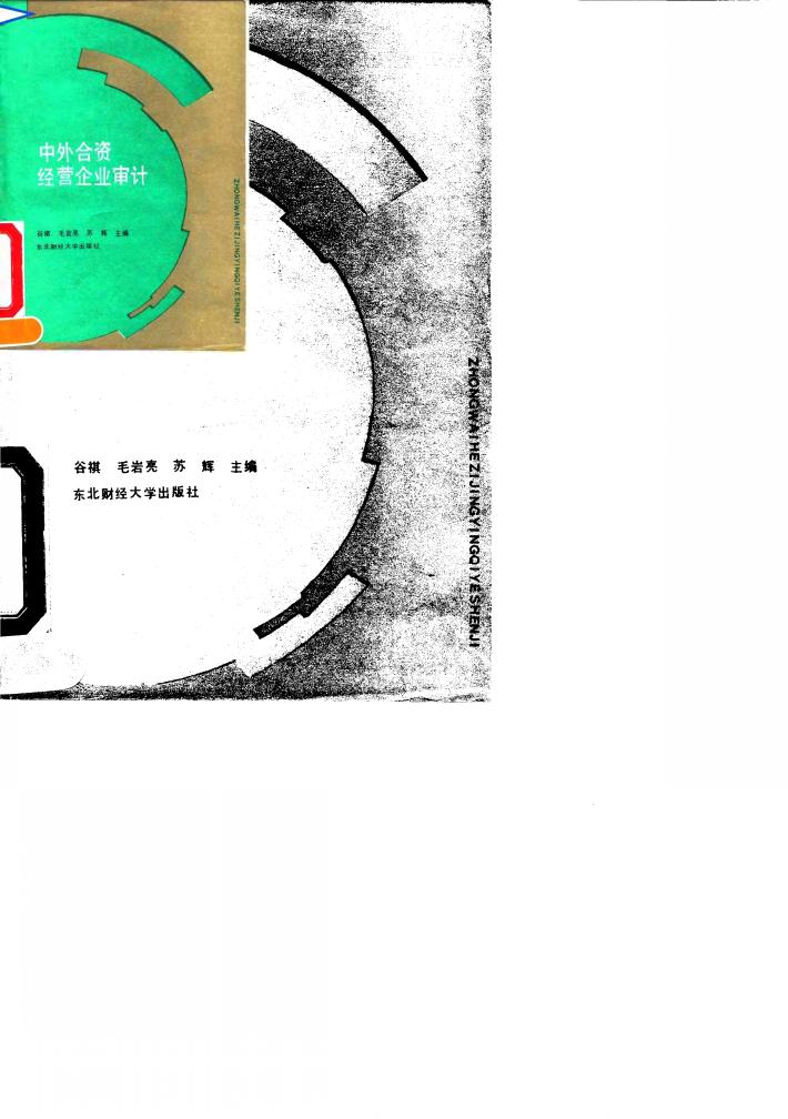 中外合资经营企业审计 封面