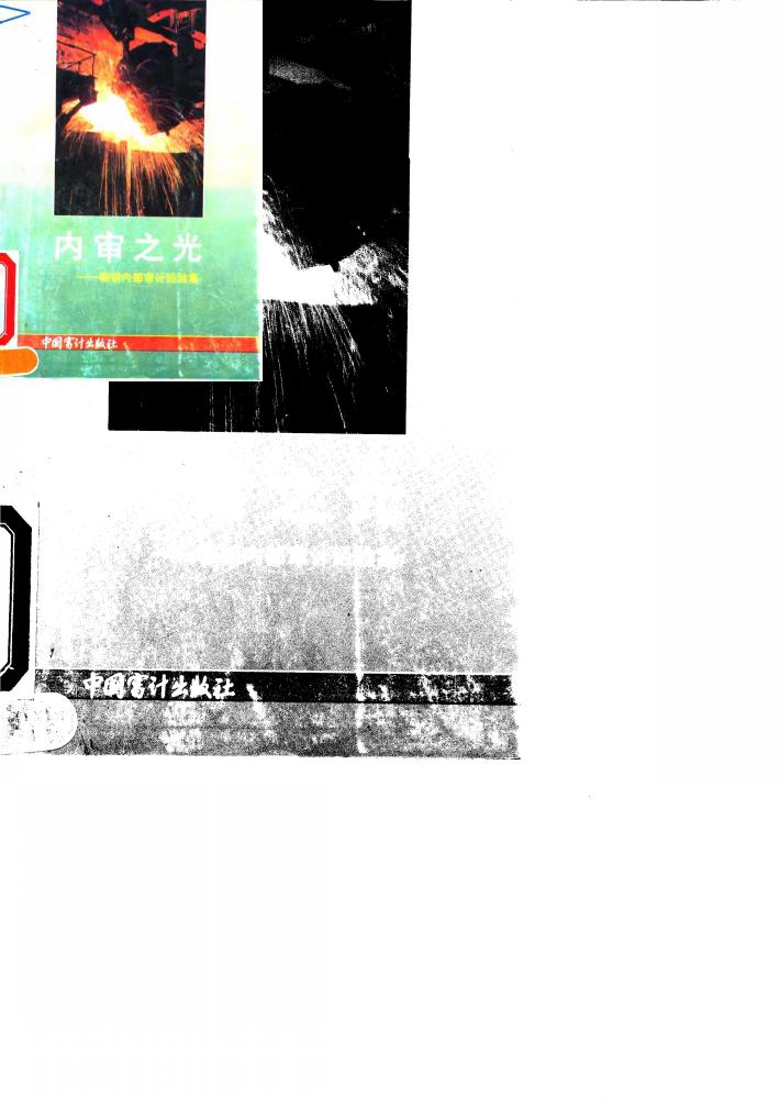 内审之光  鞍钢内部审计经验集 封面