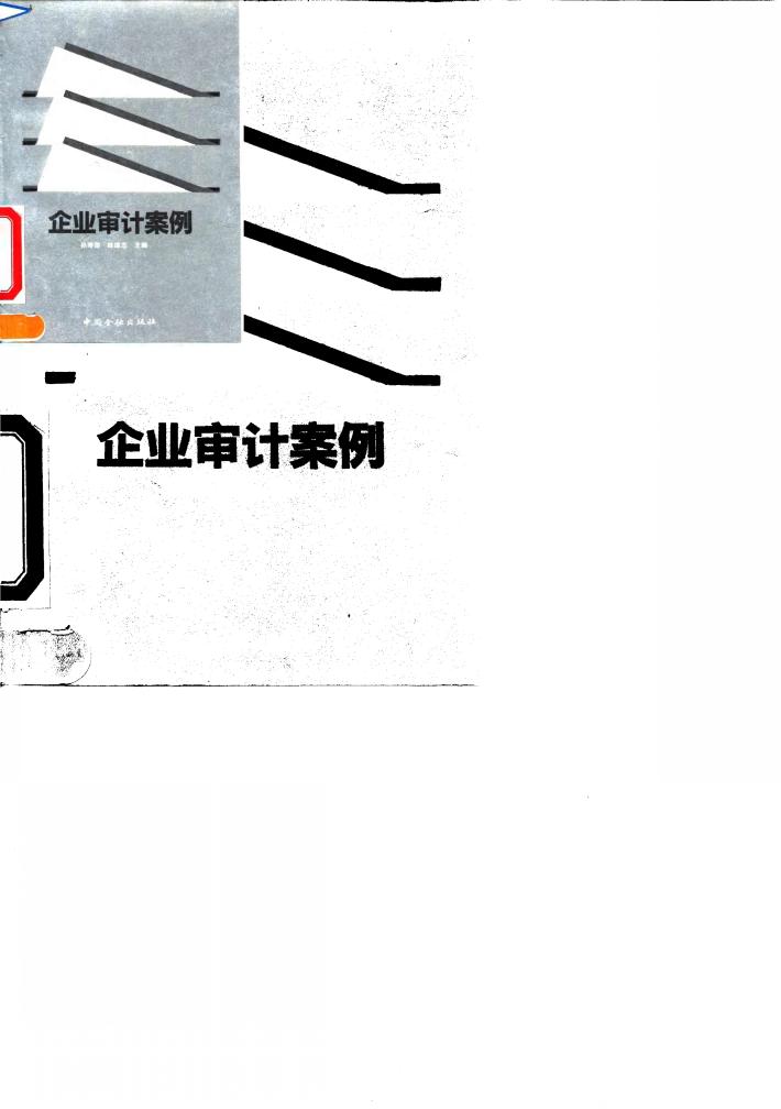 企业审计案例 封面
