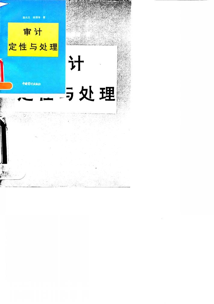 审计定性与处理 封面