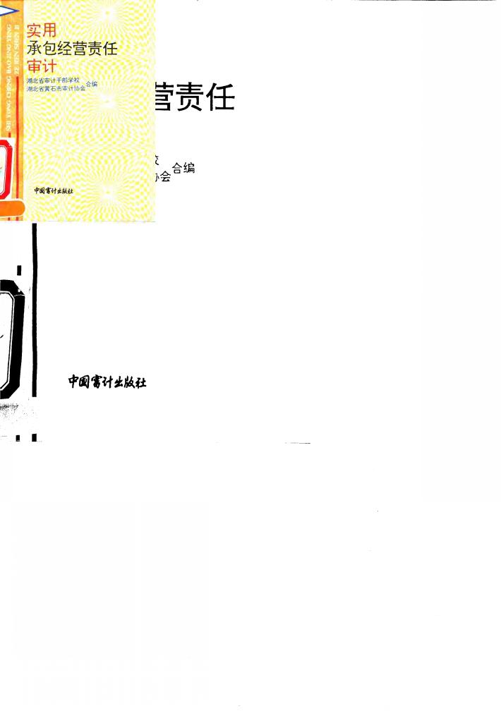 实用承包经营责任审计 封面