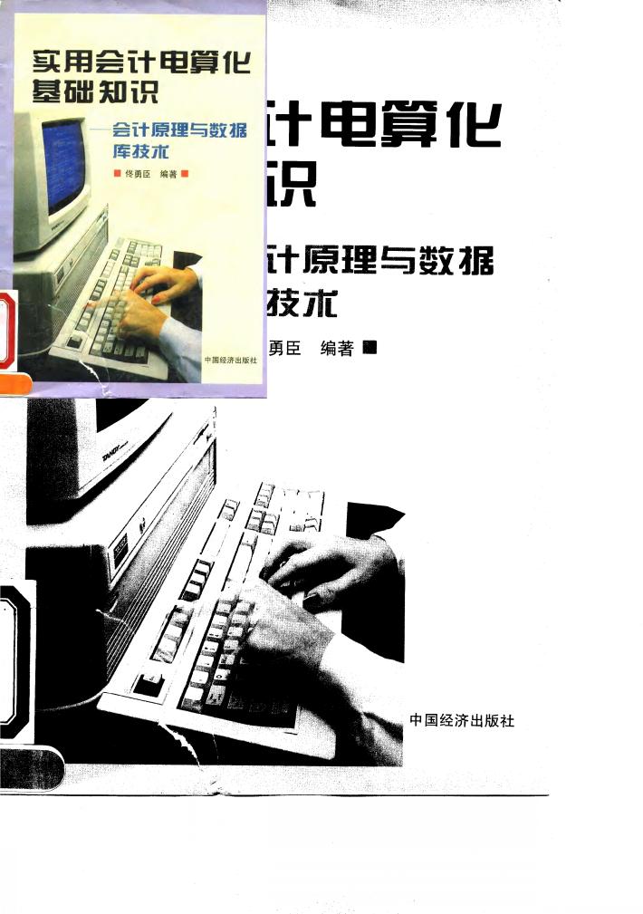 实用会计电算化基础知识  会计原理与数据库技术 封面