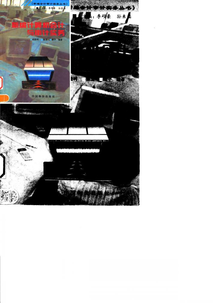 新编计算机会计与审计实务 封面