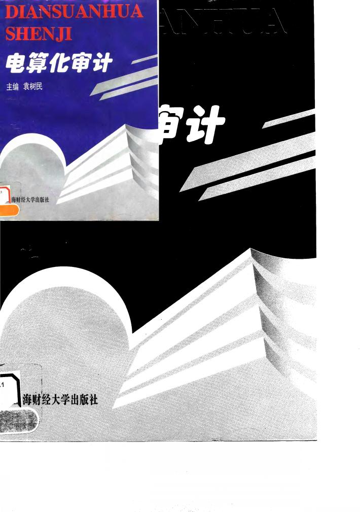 电算化审计 封面