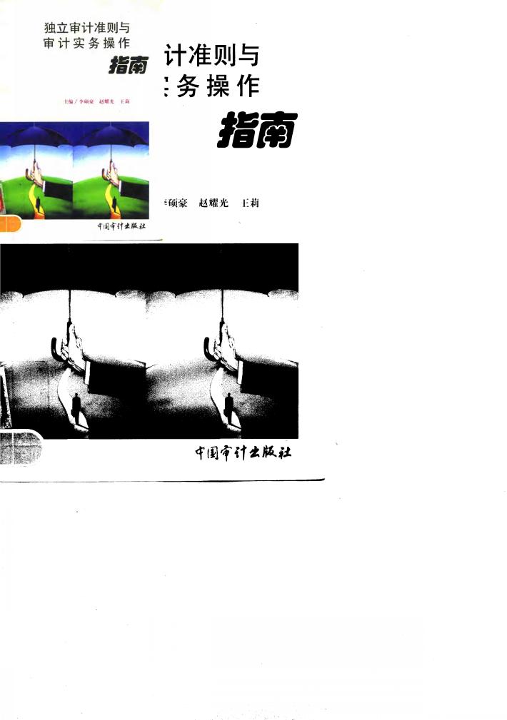 独立审计准则与审计实务操作指南 封面