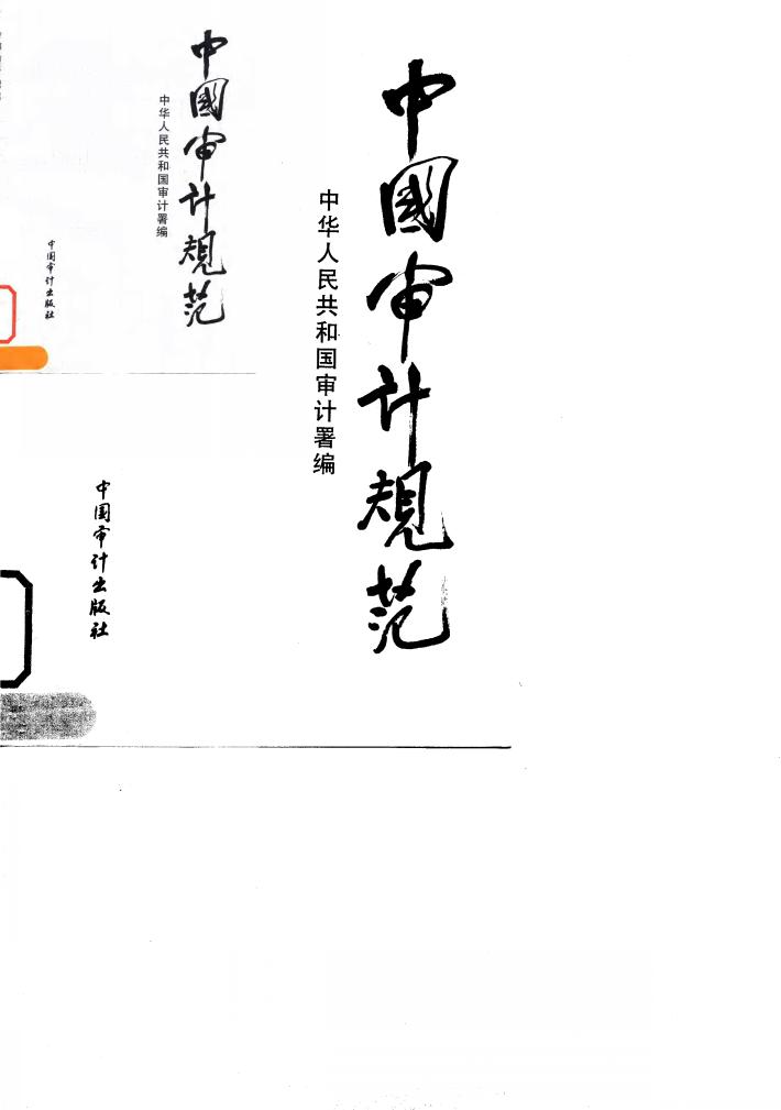 中国审计规范 封面