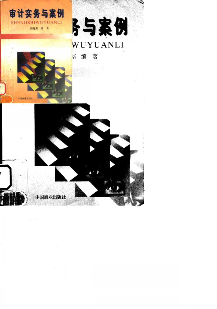 审计实务与案例 封面