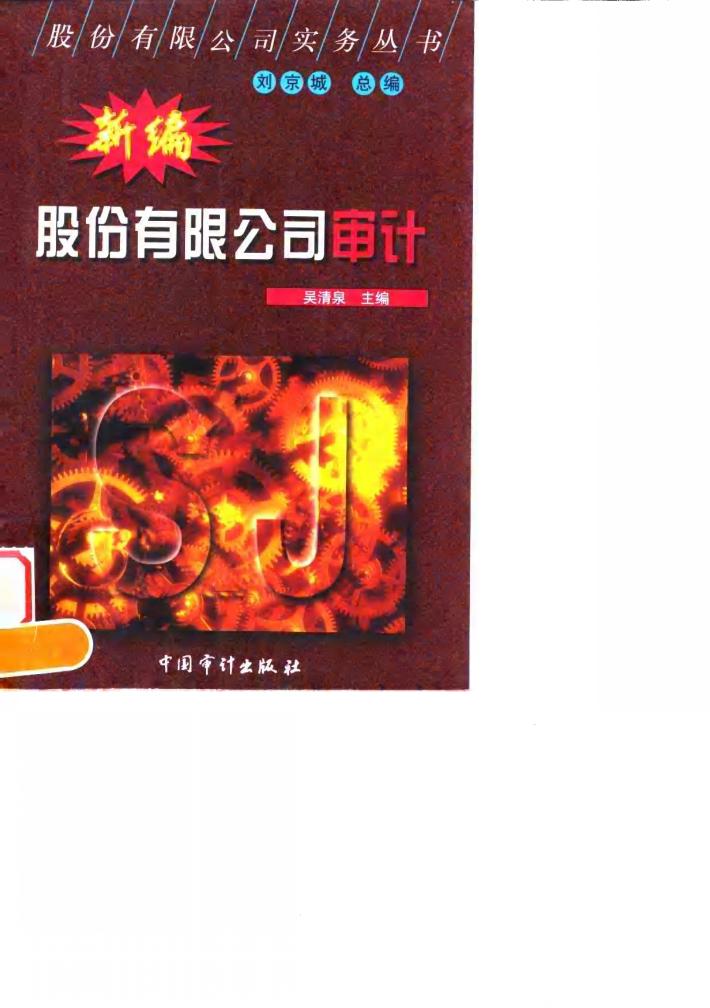 新编股份有限公司审计 封面